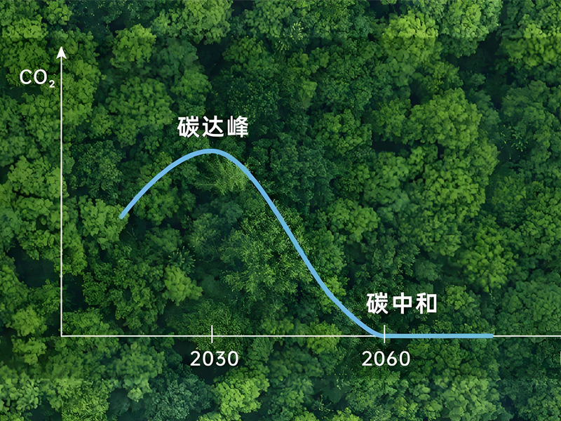 1732168604406215.jpg 1.jpg